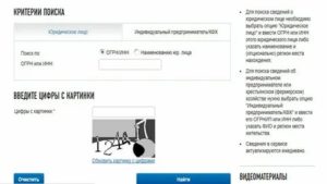 Как узнать свой огрнип через интернет