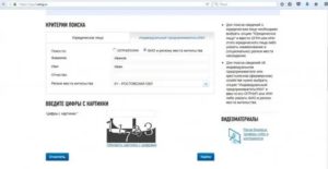 Как узнать свой огрнип через интернет