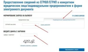 Как узнать свой огрнип через интернет