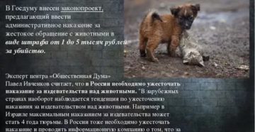 Статья насилие над животными Статья насилие над животными