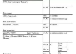 Основание платежа административный штраф в угадн платежном поручении 2020 году
