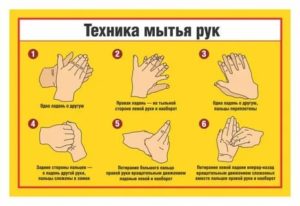Правила мытья рук в общепите инструкция