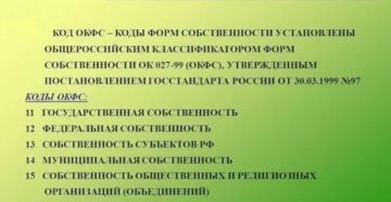 Форма собственности ип код окфс Форма собственности ип код окфс
