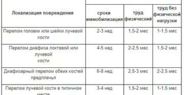 Сколько сидят на больничном при вывехе ноги Сколько сидят на больничном при вывехе ноги